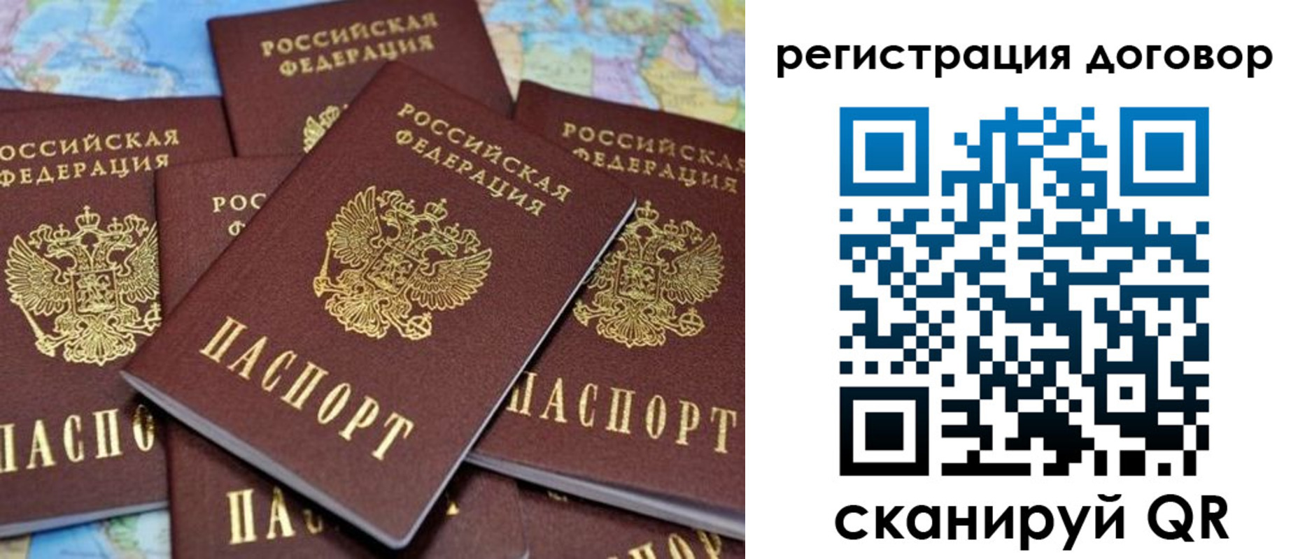 прописка гарантия в Каменке